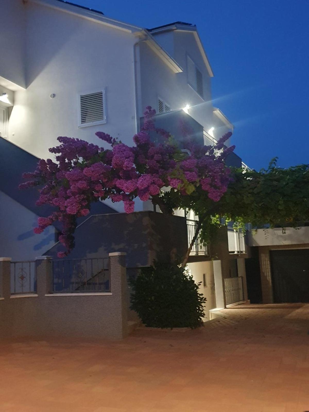 Apartment Bozovic Orebić Εξωτερικό φωτογραφία
